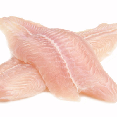 Dory Fish